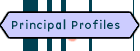 Principle Profiles